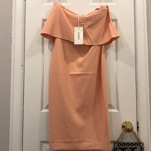 NWT LIKELY DRIGGS DRESS